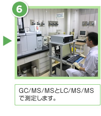 (6)GC/MS/MSとLC/MS/MSで測定します。
