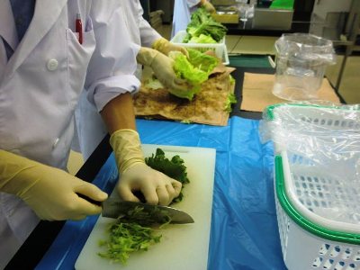 oshirase20120524-1.jpg