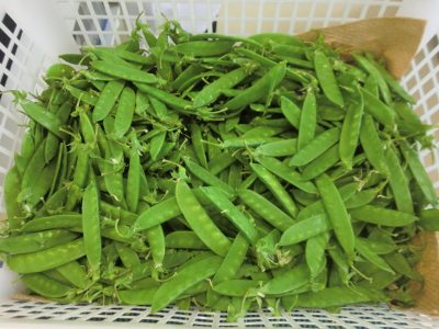 oshirase20120531-4.jpg