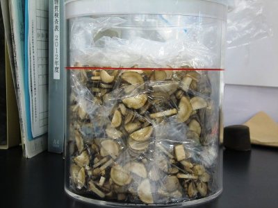 oshirase20120620-1.jpg