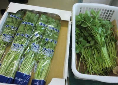 oshirase20120620-2.jpg