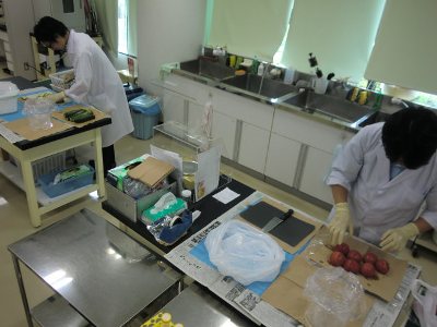 oshirase20120725-5.jpg