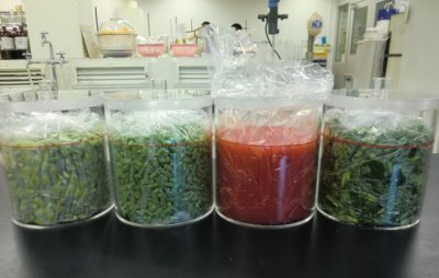 oshirase20120808-5.jpg