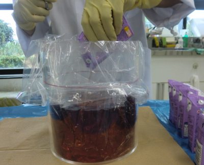 oshirase20120913-2.jpg