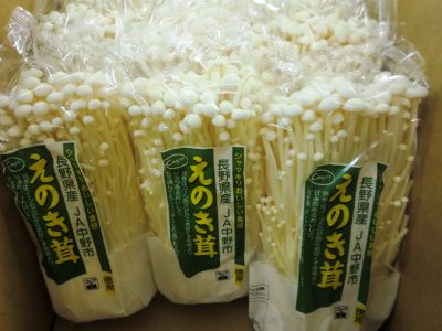 oshirase20120913-4.jpg