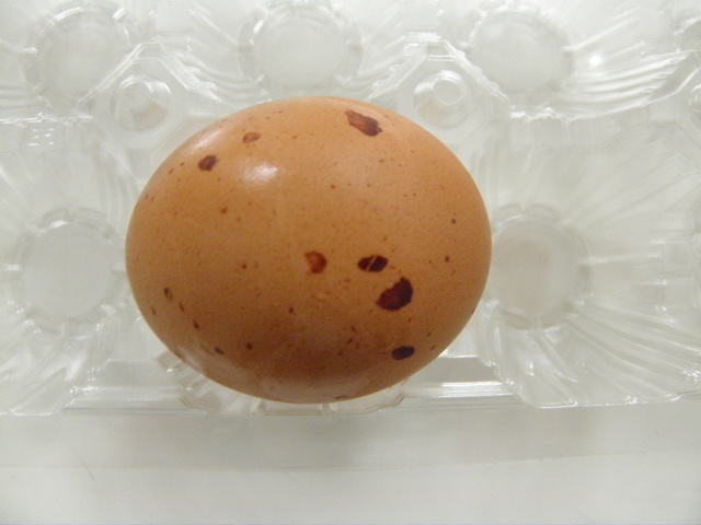 紅たまごの殻に茶色の斑点がある 肉 卵 商品q A コープこうべ 商品検査センター