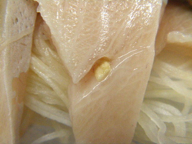 ブリの刺身に乳白色の異物が刺さっている 魚介類 商品q A コープこうべ 商品検査センター