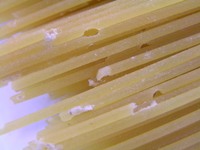 スパゲティに虫が発生 米 麺類 穀類 商品q A コープこうべ 商品検査センター