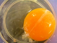 卵に白いひも状のものがある 肉 卵 商品q A コープこうべ 商品検査センター